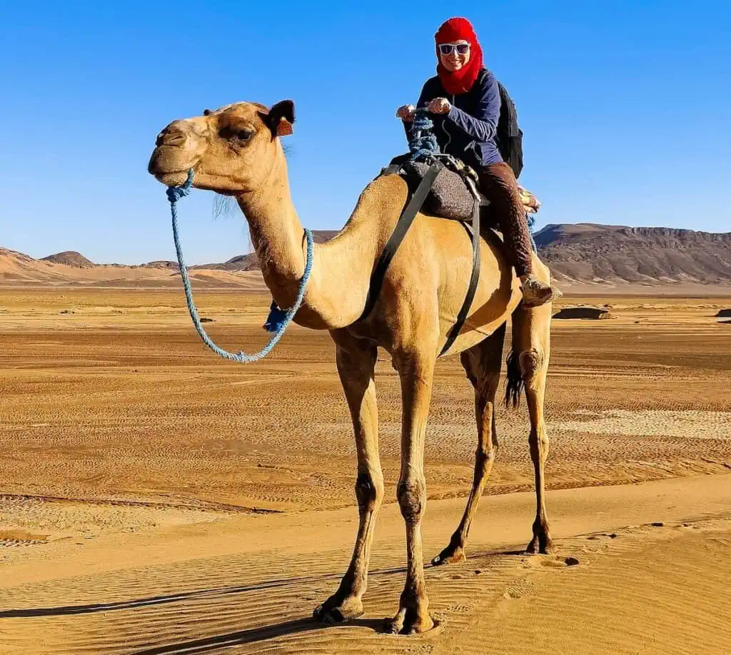 Tourists on camel ride through Dubai desert