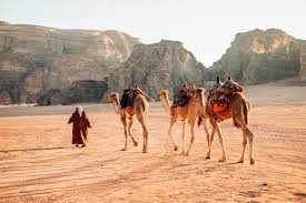 Bedouin Traditions