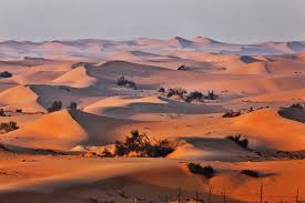 Golden sand dunes of the Arabian Desert at sunset